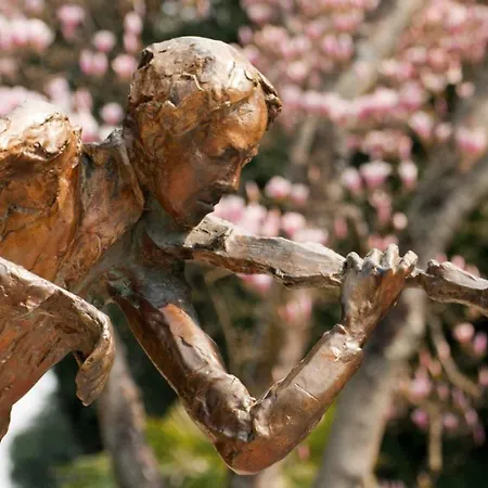 Stefani אופטיה