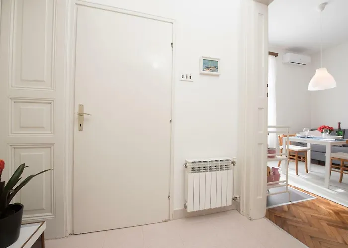 Stefani * אופטיה